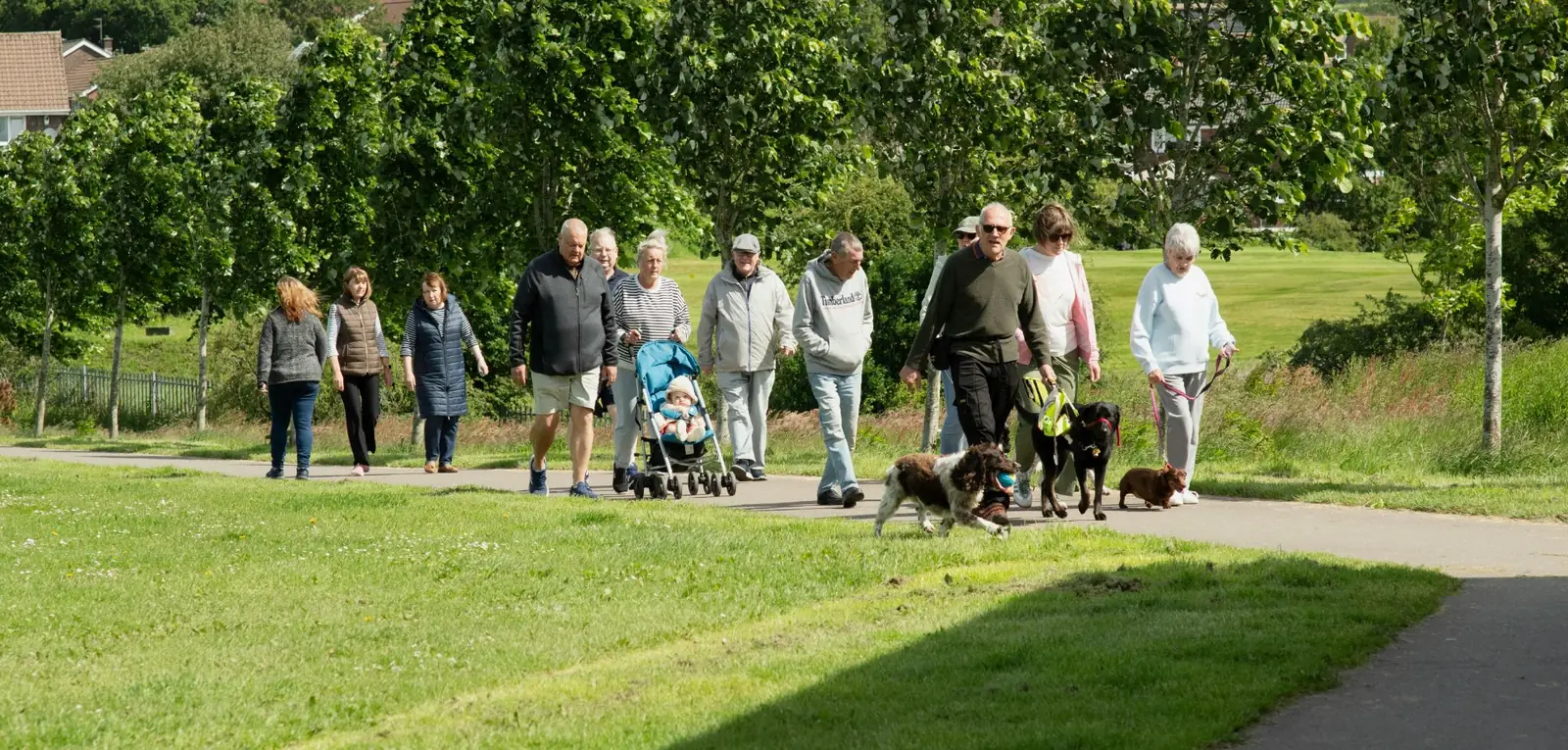 A group of neighbors of all ages walking together on a park path, with a stroller and dogs